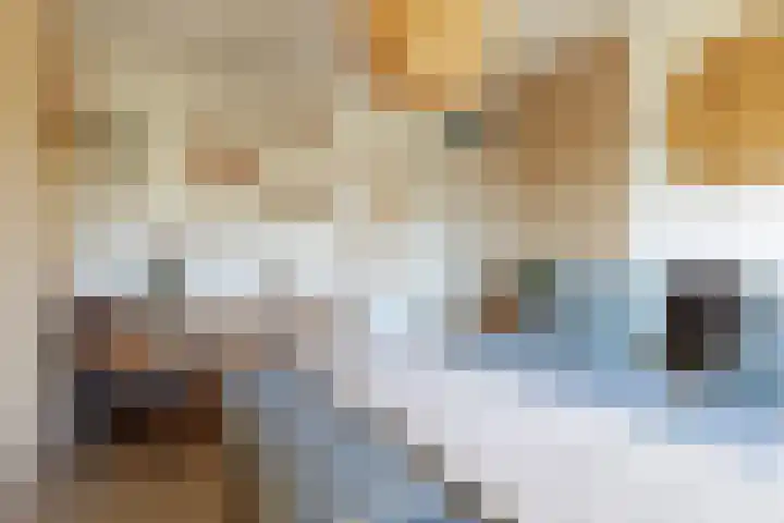 Koningsweg 101 Winterswijk thumbnail 25