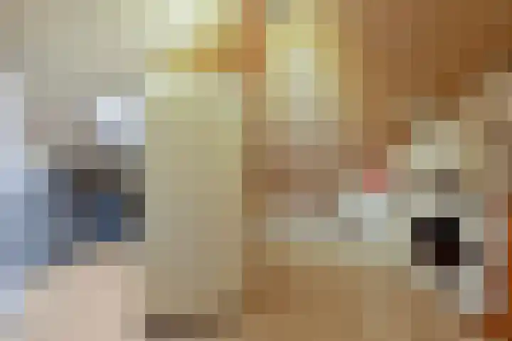 Koningsweg 101 Winterswijk thumbnail 34
