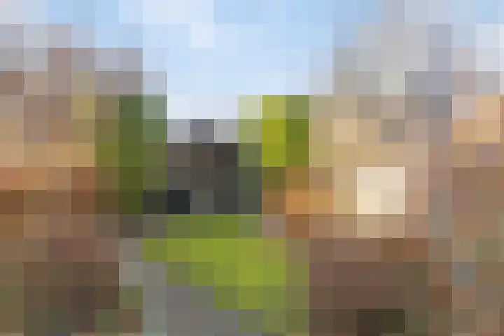 Koningsweg 101 Winterswijk thumbnail 36