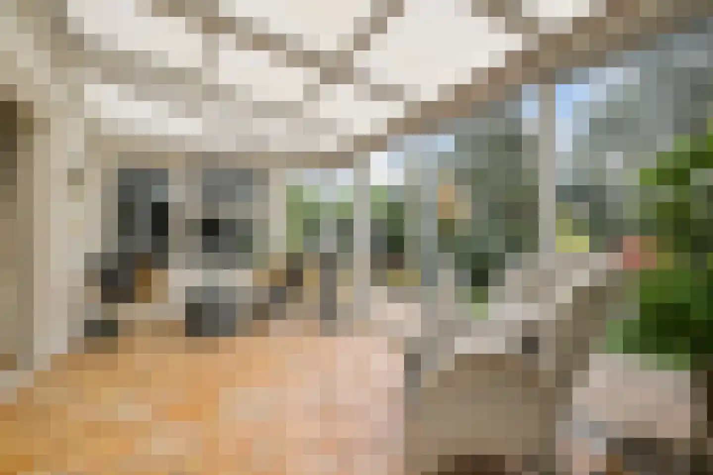 Koningsweg 103 Akersloot thumbnail 11