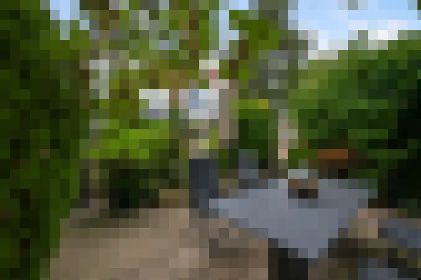 Koningsweg 103 Akersloot thumbnail 13
