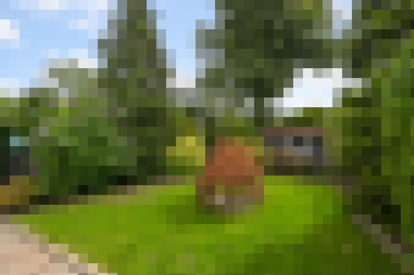 Koningsweg 103 Akersloot thumbnail 15