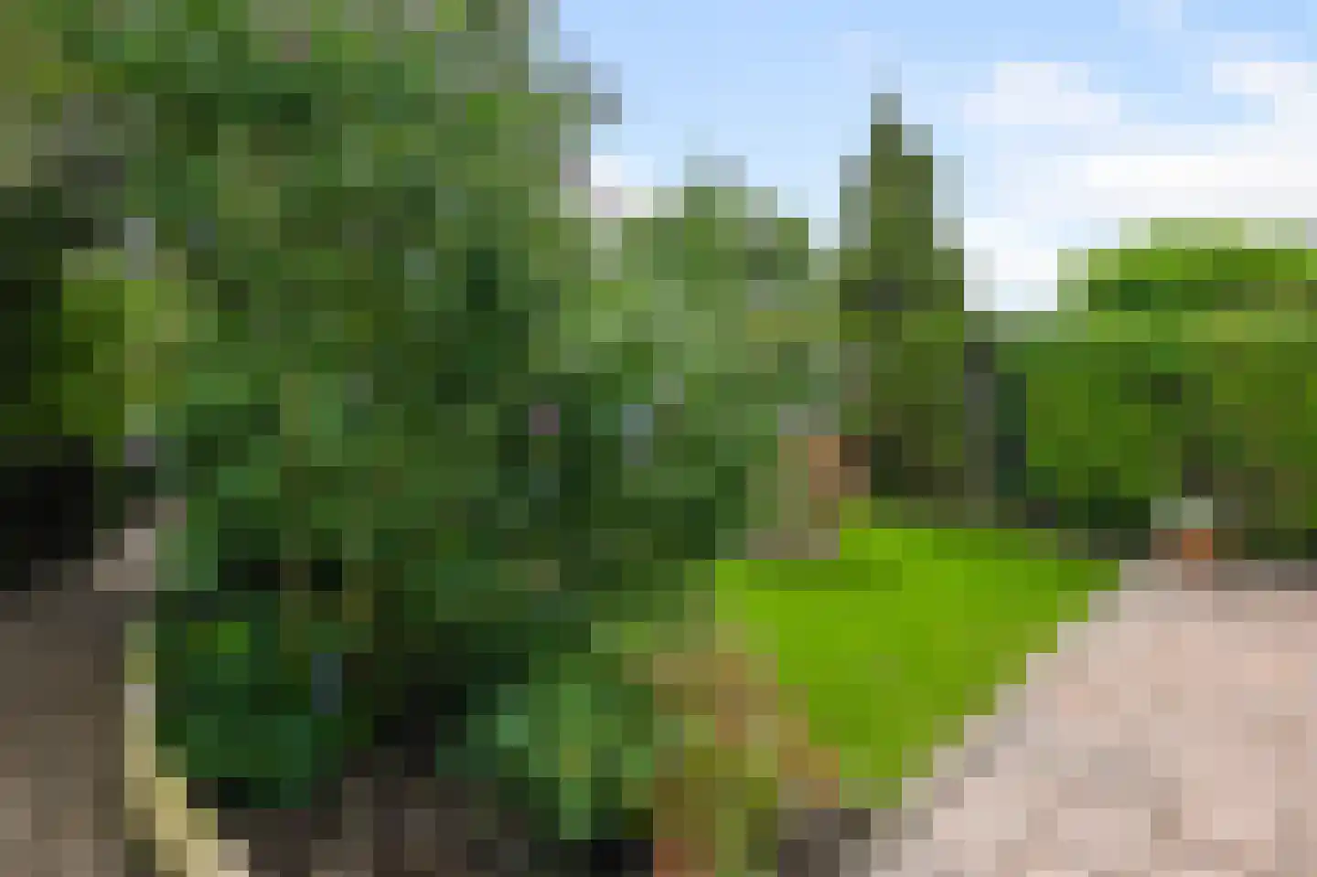 Koningsweg 103 Akersloot thumbnail 16