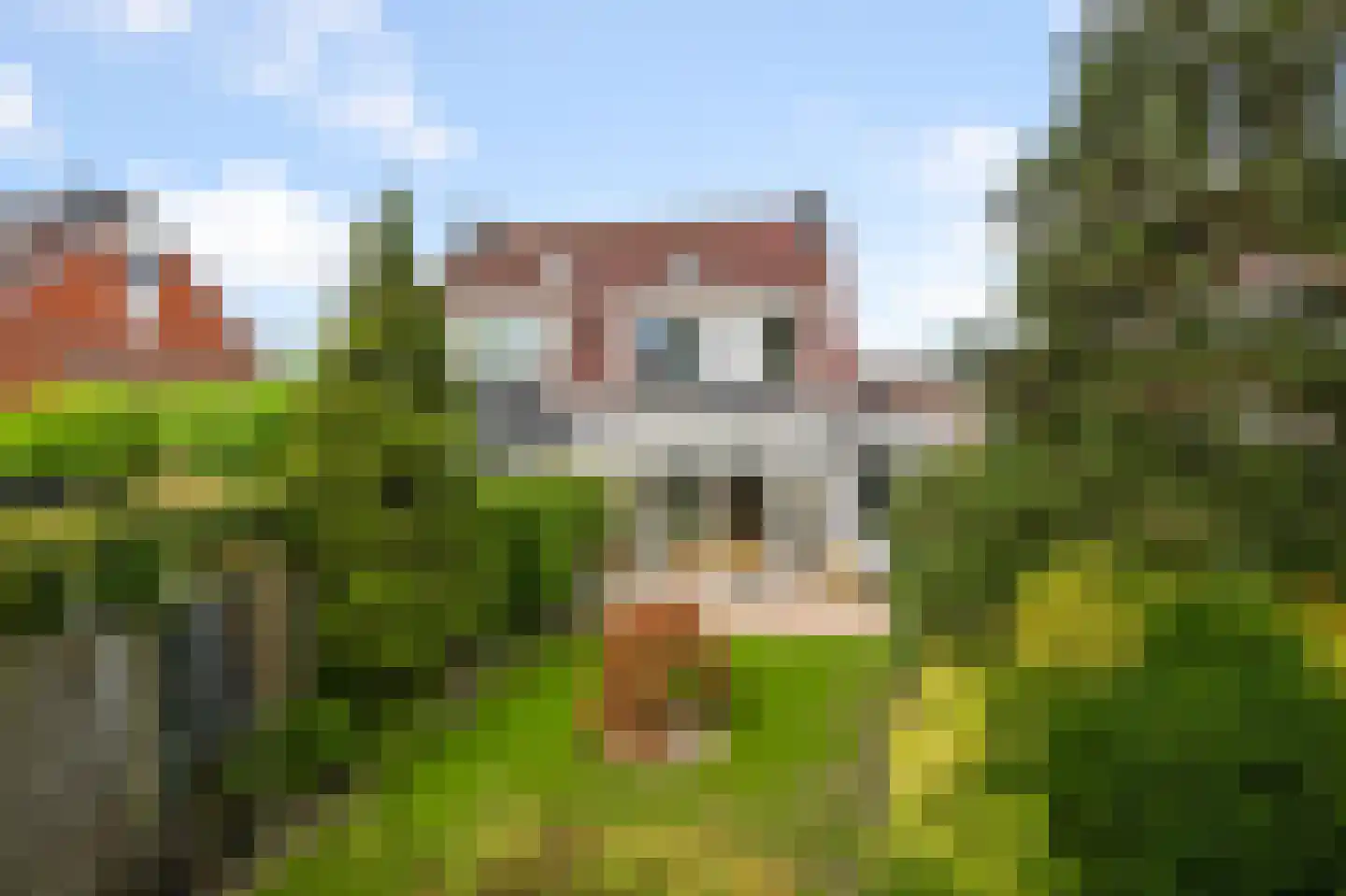 Koningsweg 103 Akersloot foto 2