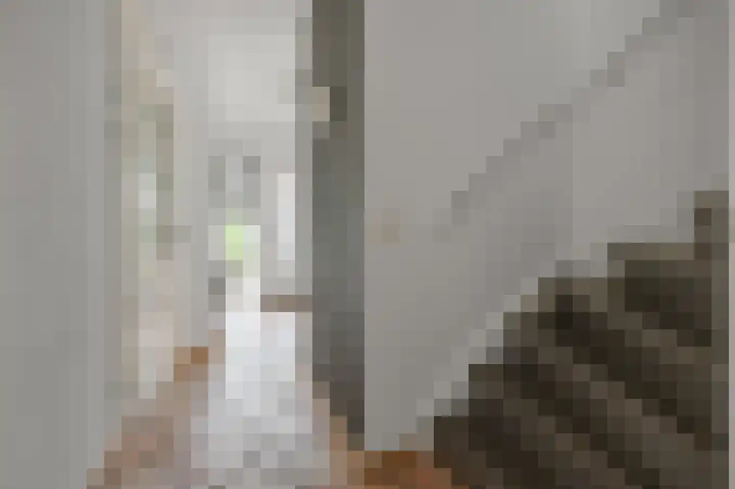 Koningsweg 103 Akersloot thumbnail 30