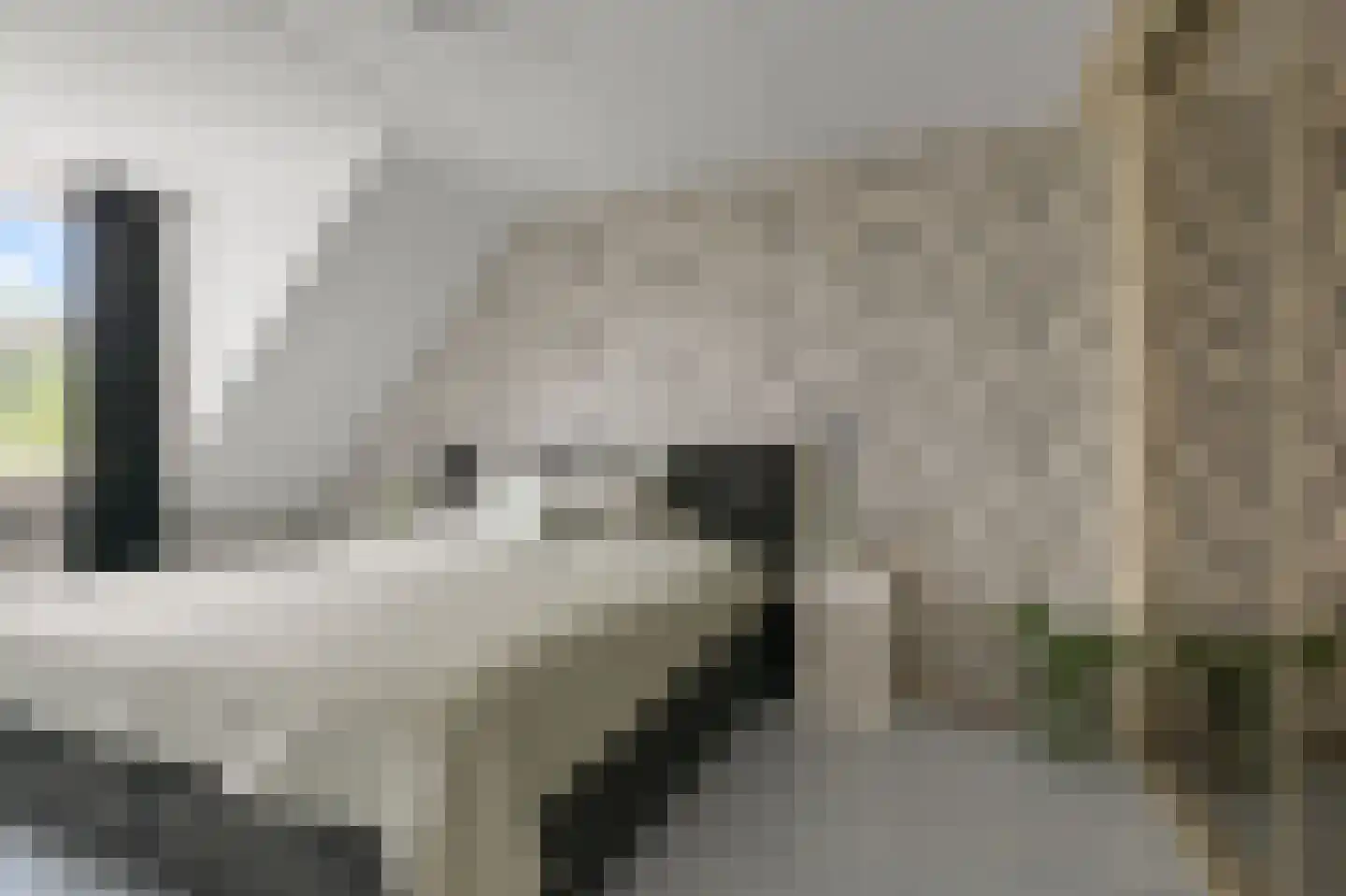 Koningsweg 103 Akersloot thumbnail 36