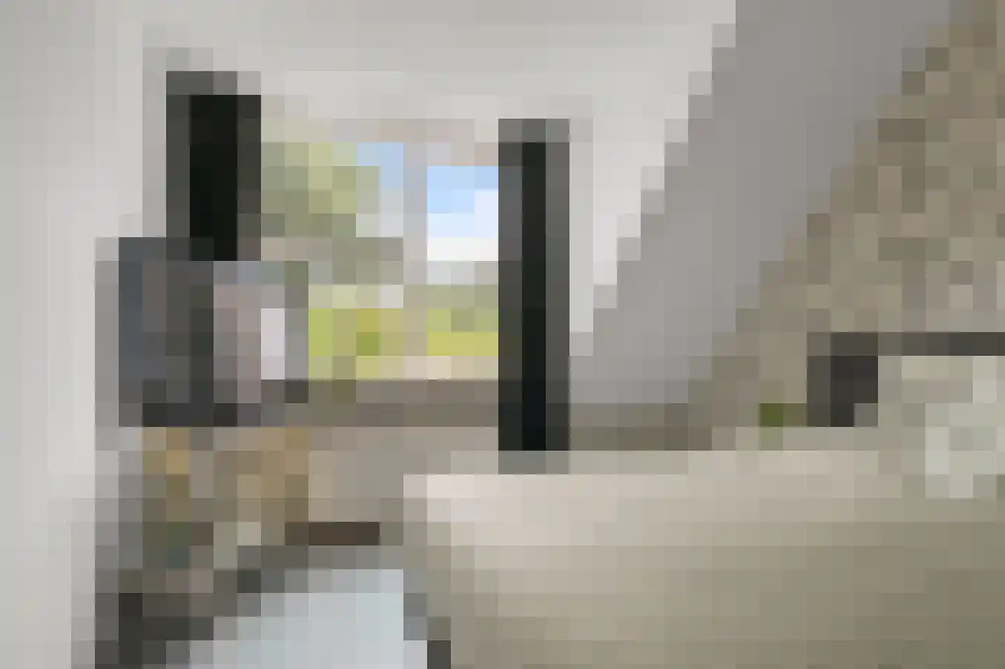 Koningsweg 103 Akersloot thumbnail 37