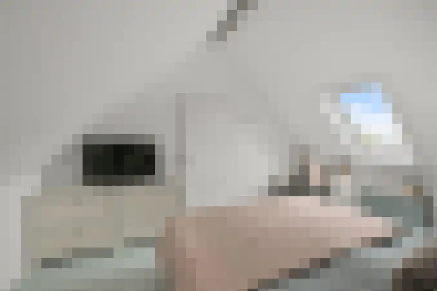 Koningsweg 103 Akersloot thumbnail 47
