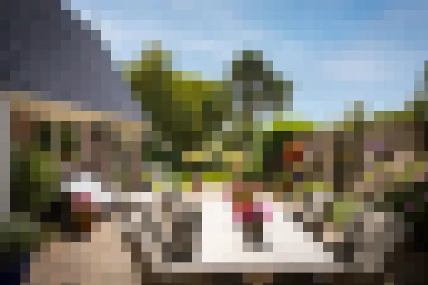 Koningsweg 11 Westerland thumbnail 31