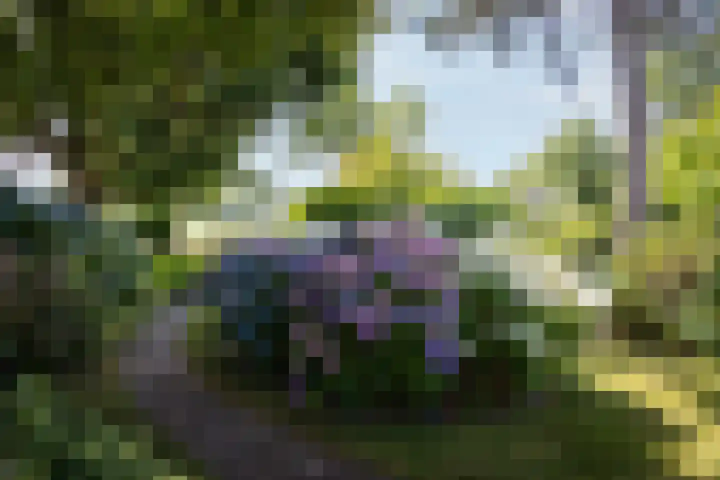 Koningsweg 11 Westerland thumbnail 34