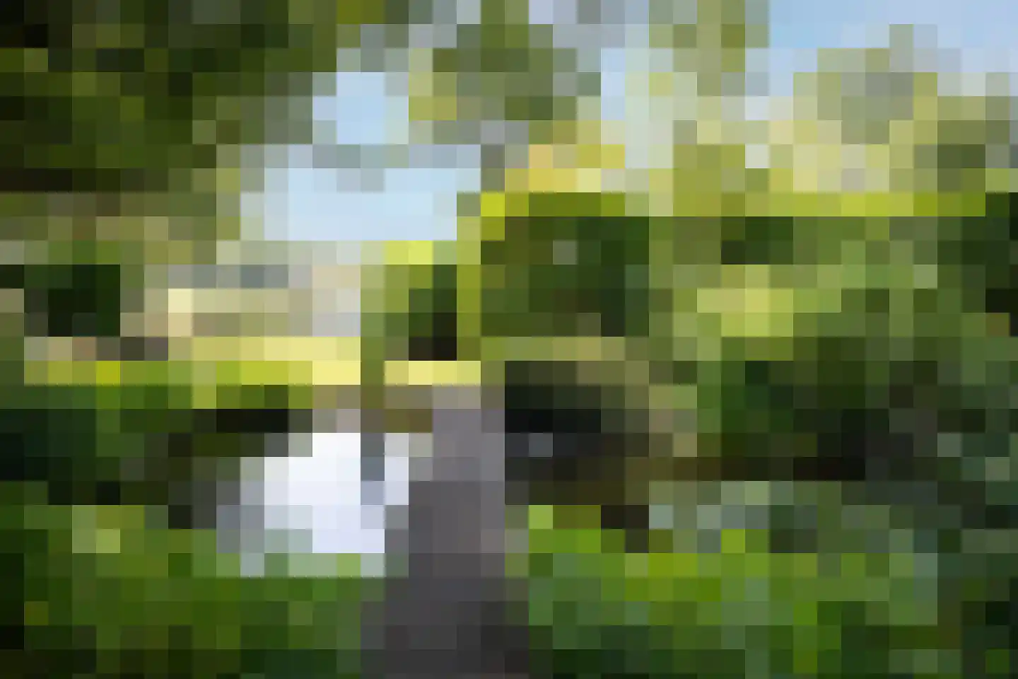 Koningsweg 11 Westerland thumbnail 35