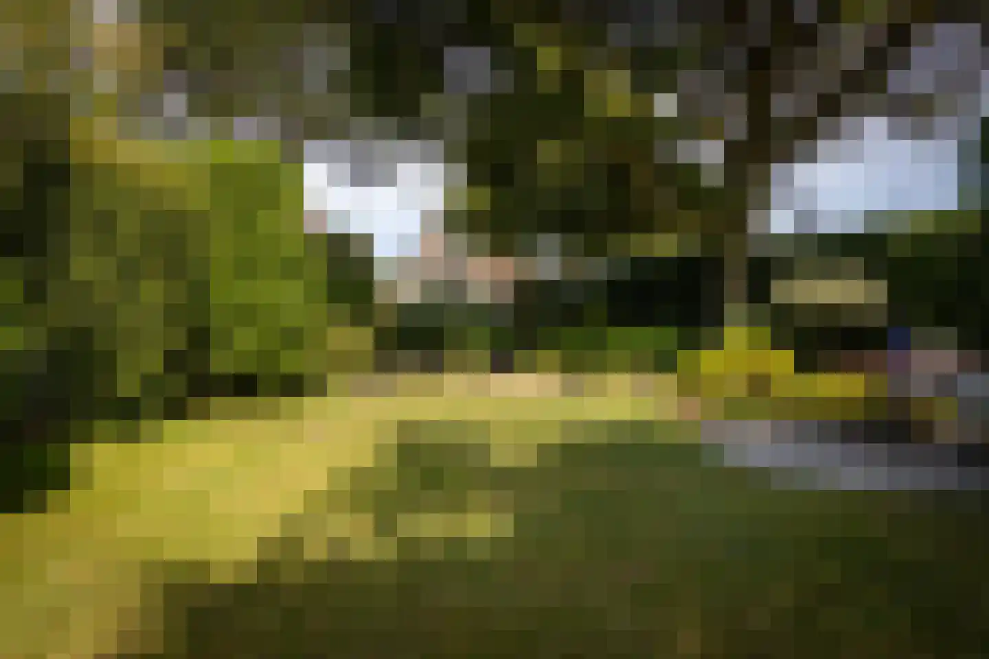 Koningsweg 11 Westerland thumbnail 43