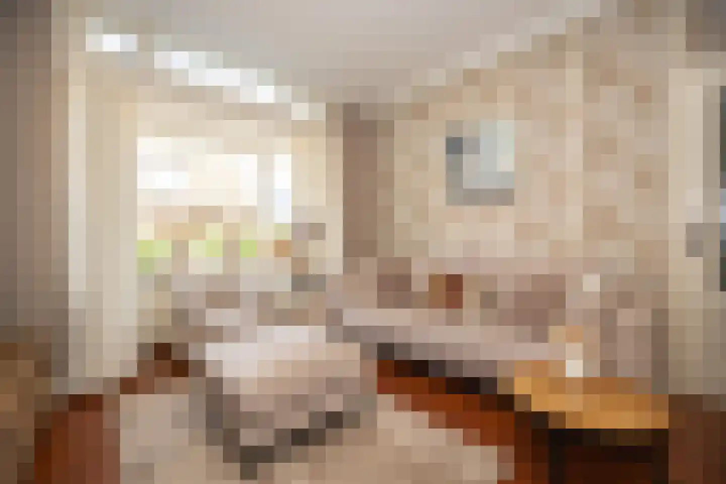 Koningsweg 11 Westerland thumbnail 5