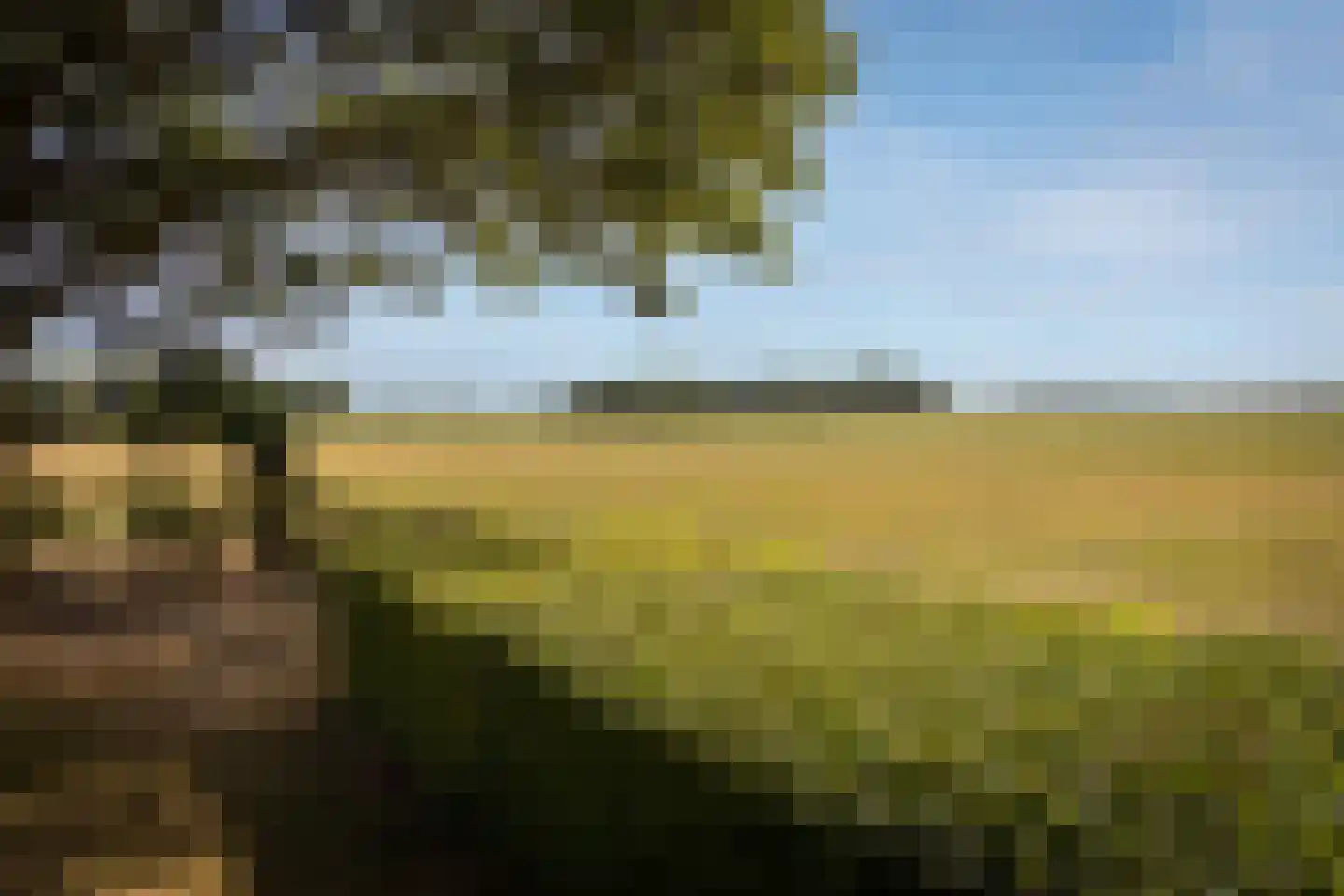 Koningsweg 11 Westerland thumbnail 50