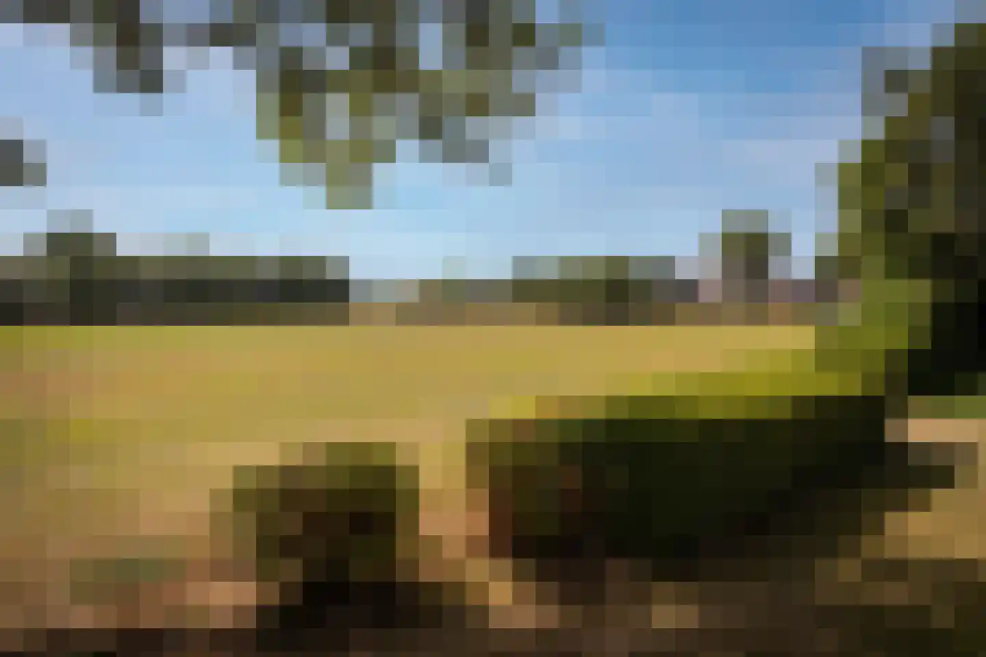 Koningsweg 11 Westerland thumbnail 51