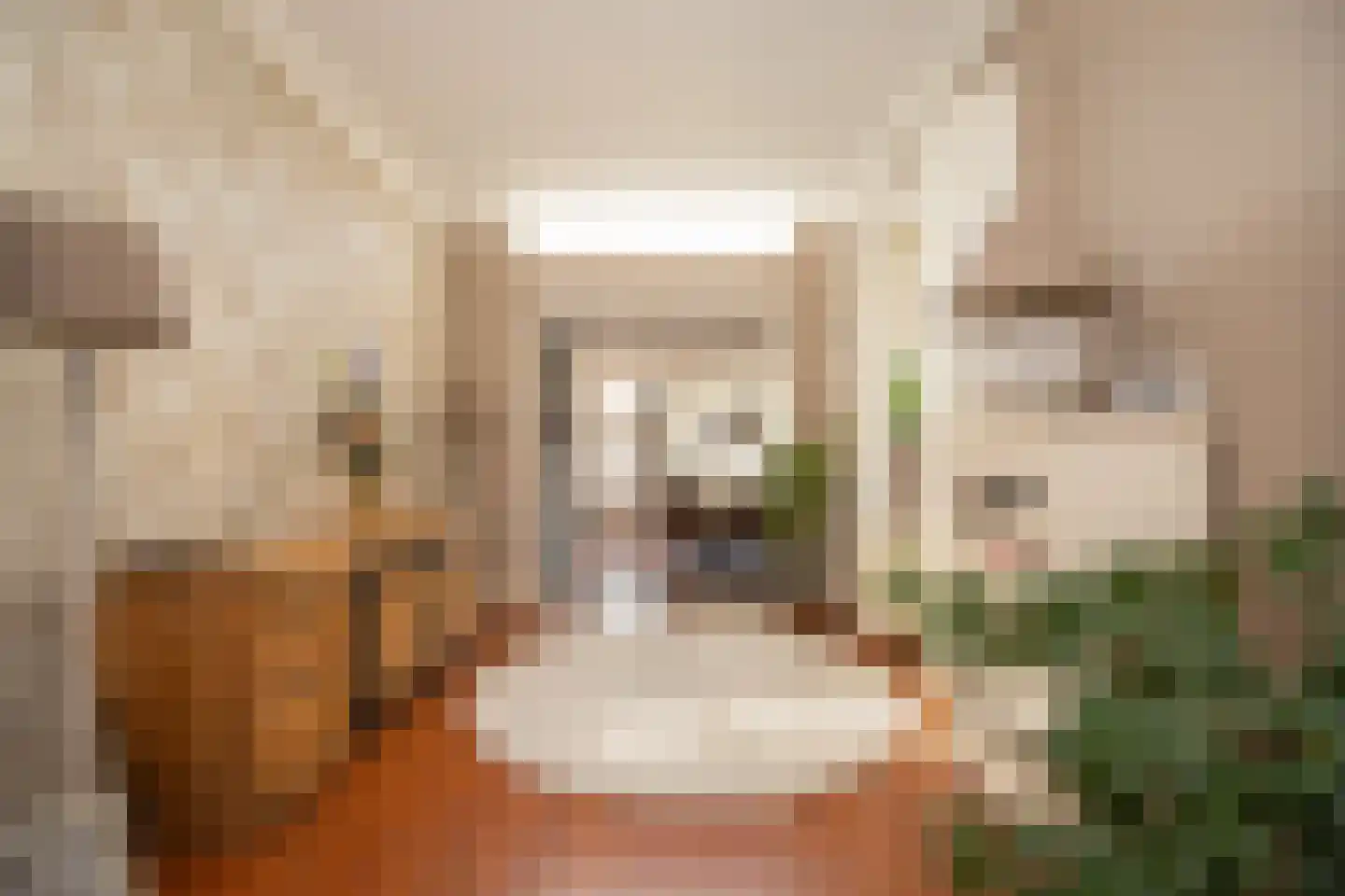 Koningsweg 11 Westerland thumbnail 6