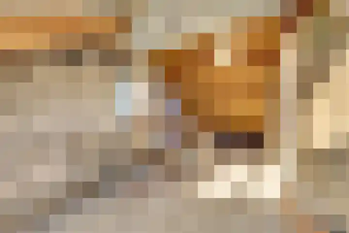 Koningsweg 121 Winterswijk thumbnail 25