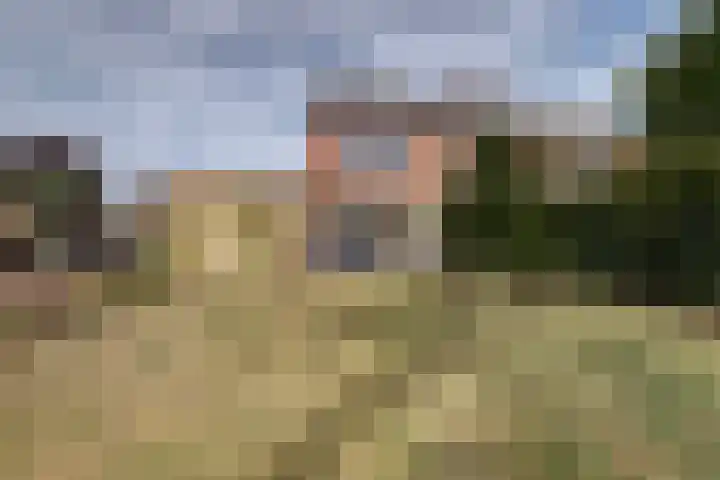 Koningsweg 121 Winterswijk thumbnail 28