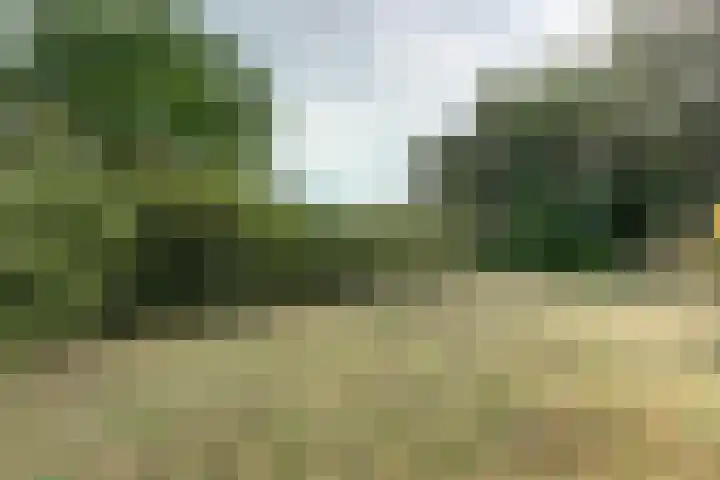 Koningsweg 121 Winterswijk thumbnail 32