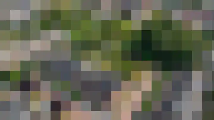 Koningsweg 121 Winterswijk thumbnail 37