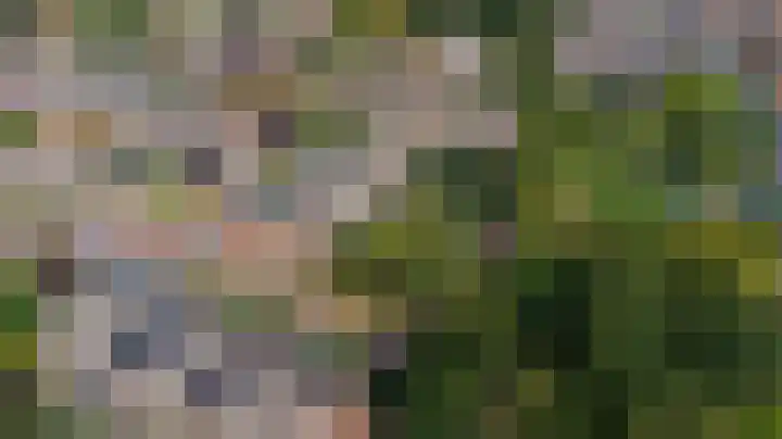 Koningsweg 121 Winterswijk thumbnail 39