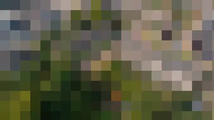 Koningsweg 121 Winterswijk thumbnail 40