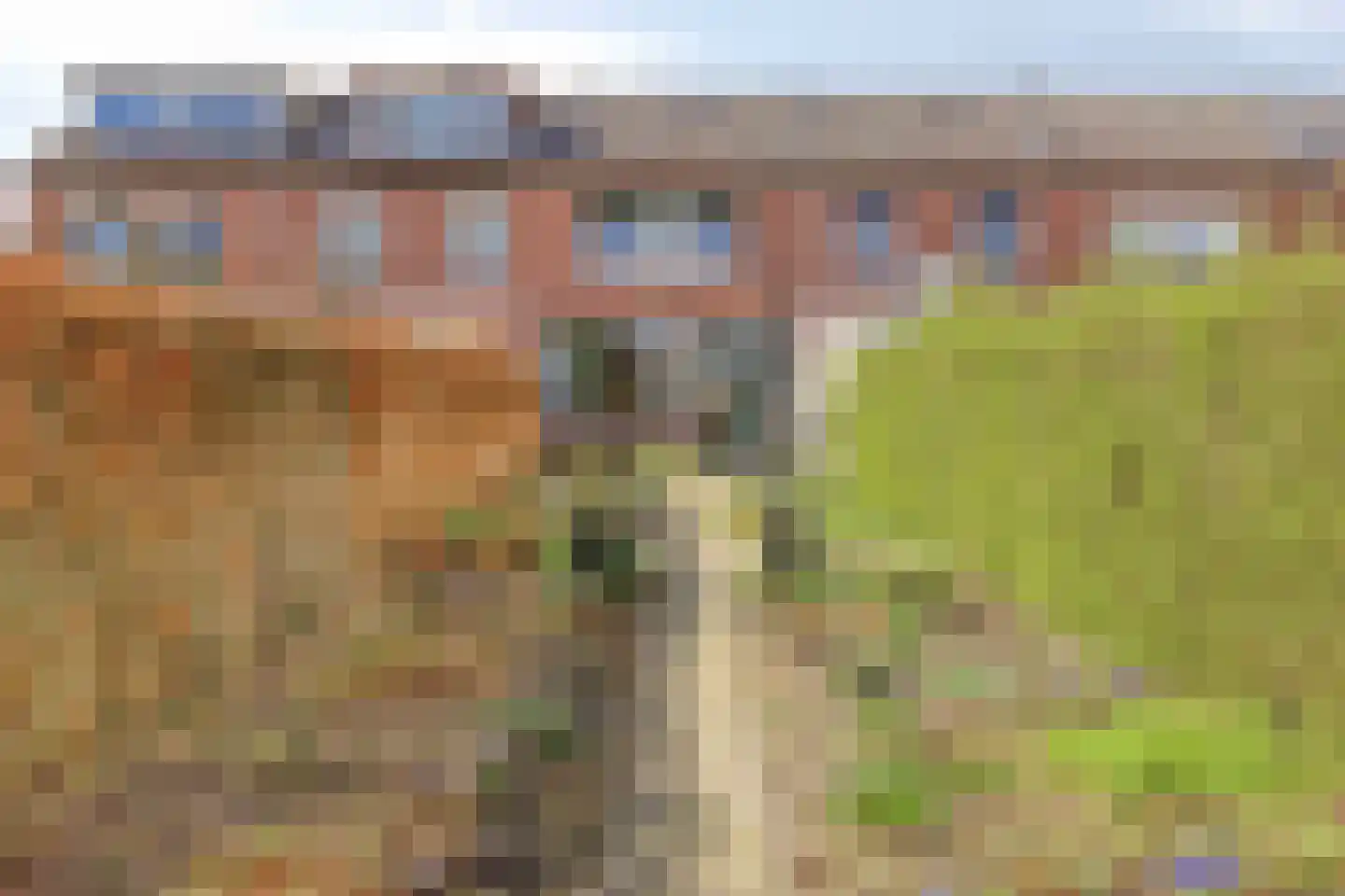 Koningsweg 125 Winterswijk thumbnail 21