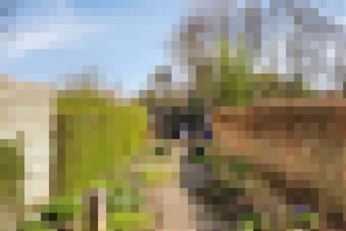 Koningsweg 125 Winterswijk thumbnail 22