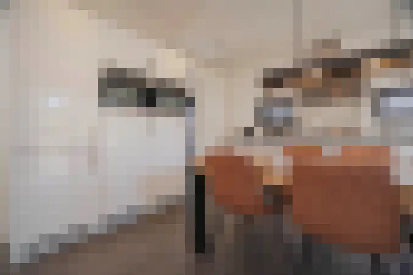 Koningsweg 14 51 Arnhem thumbnail 15