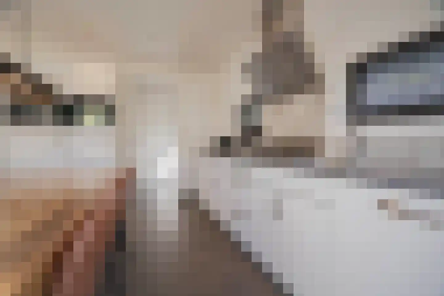 Koningsweg 14 51 Arnhem thumbnail 16
