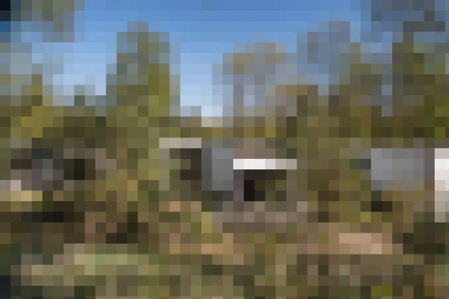Koningsweg 14 51 Arnhem thumbnail 46