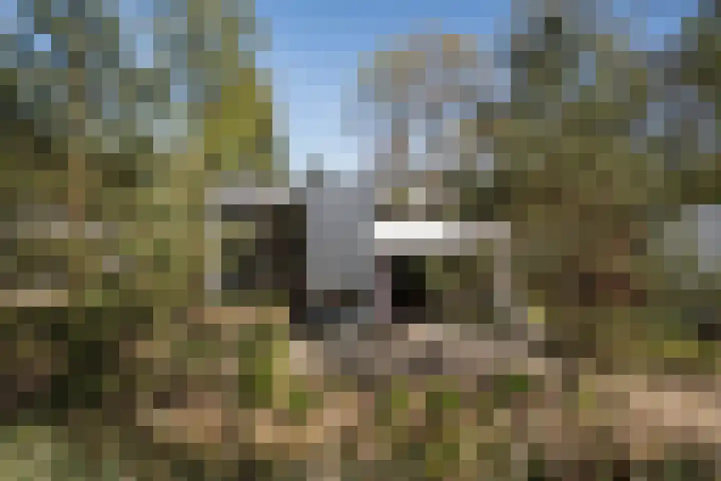 Koningsweg 14 51 Arnhem thumbnail 47