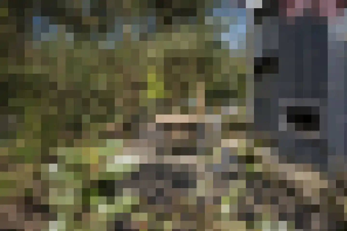 Koningsweg 14 51 Arnhem thumbnail 5