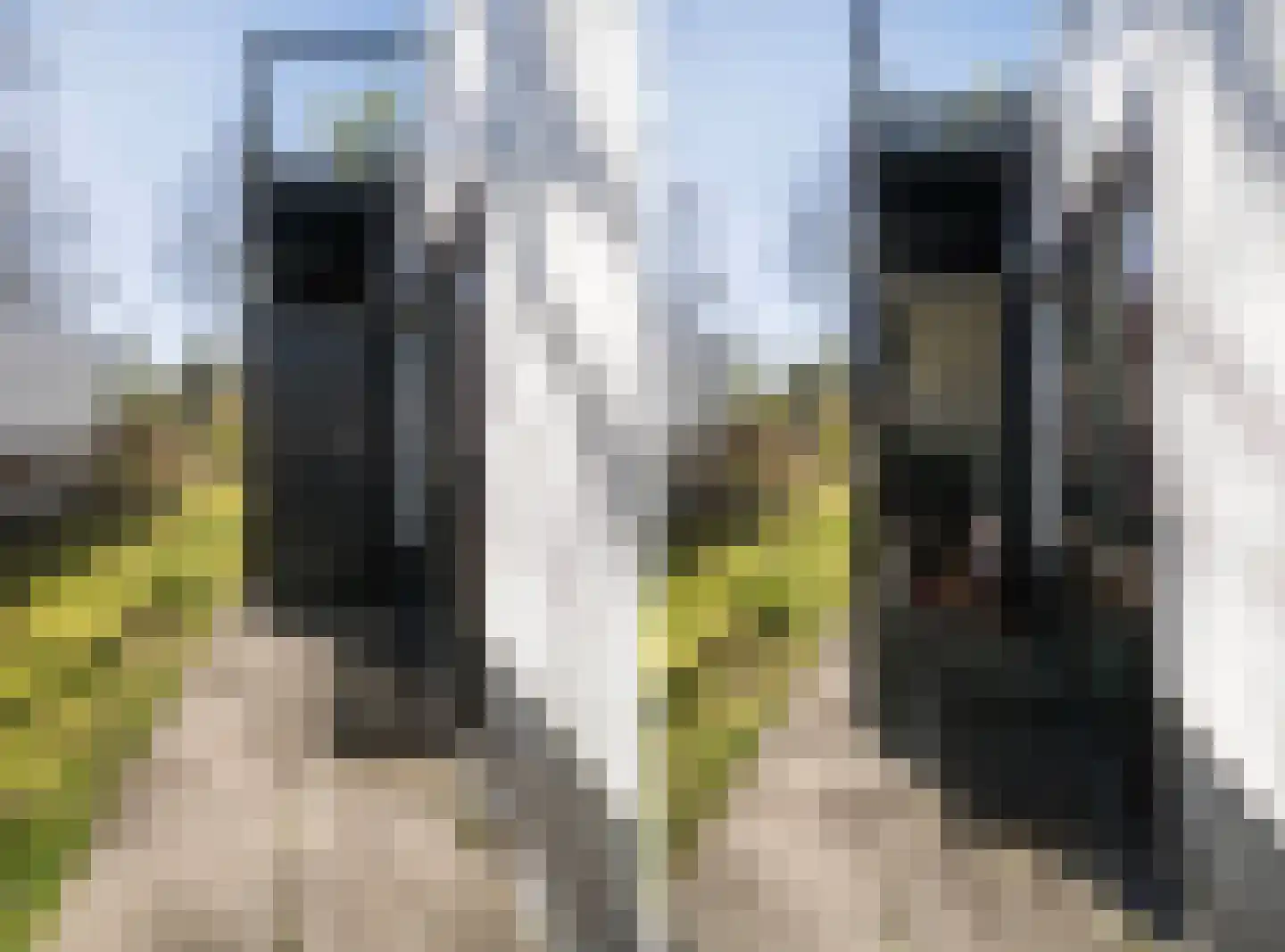 Koningsweg 14 51 Arnhem thumbnail 52