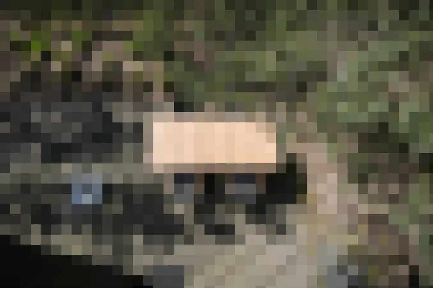 Koningsweg 14 51 Arnhem thumbnail 53