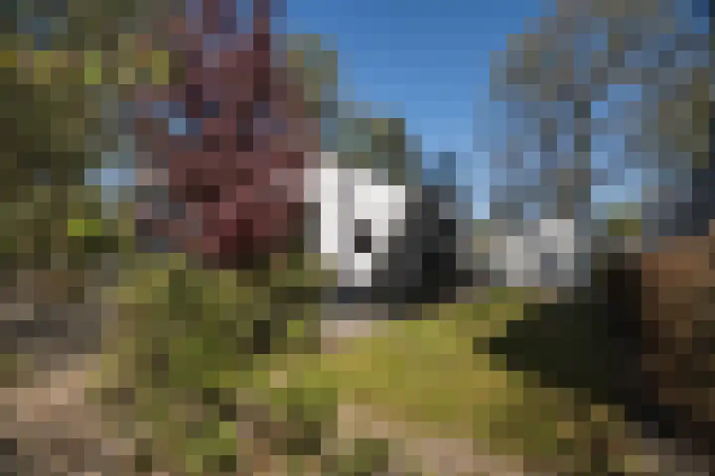 Koningsweg 14 51 Arnhem thumbnail 54