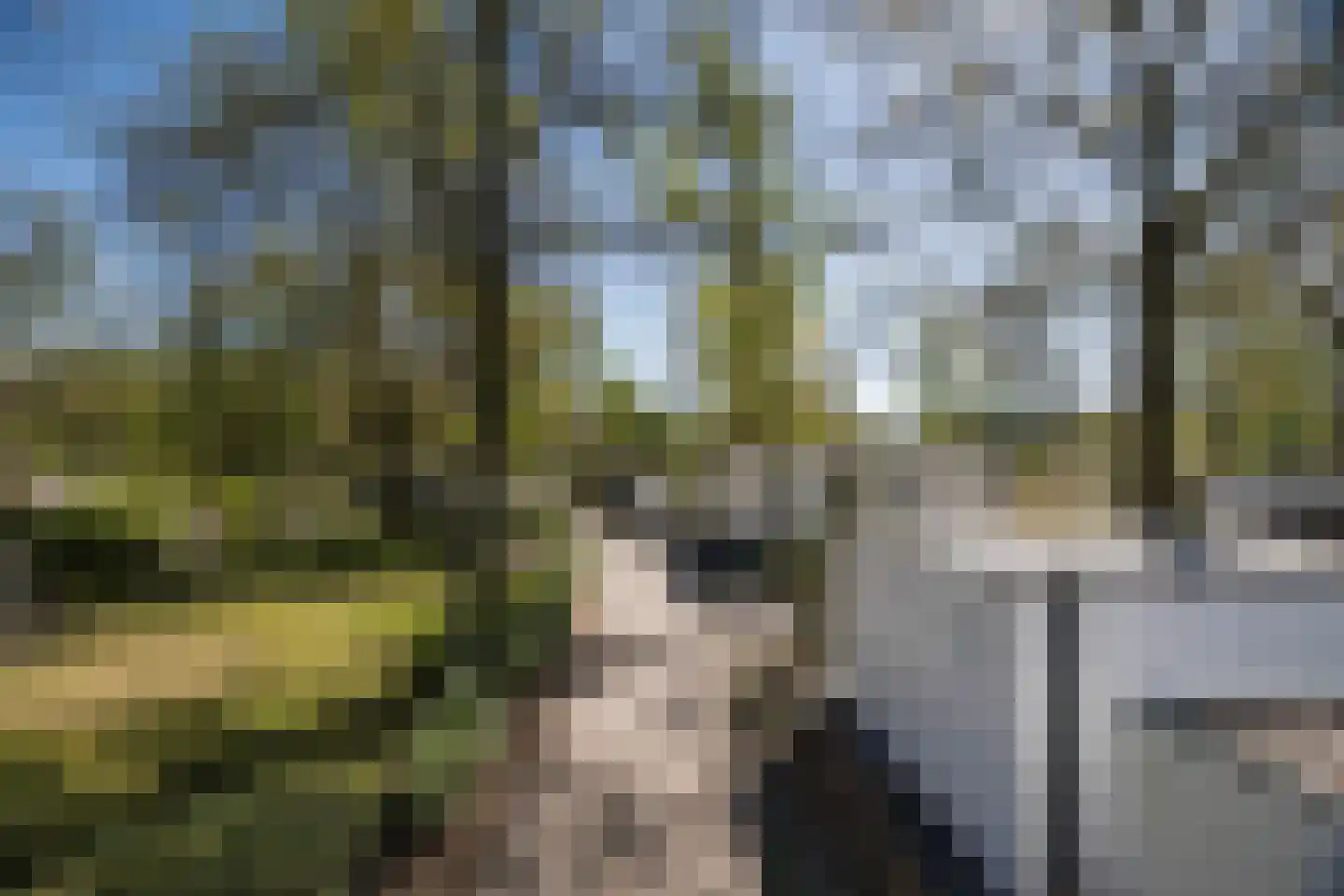 Koningsweg 14 51 Arnhem thumbnail 56