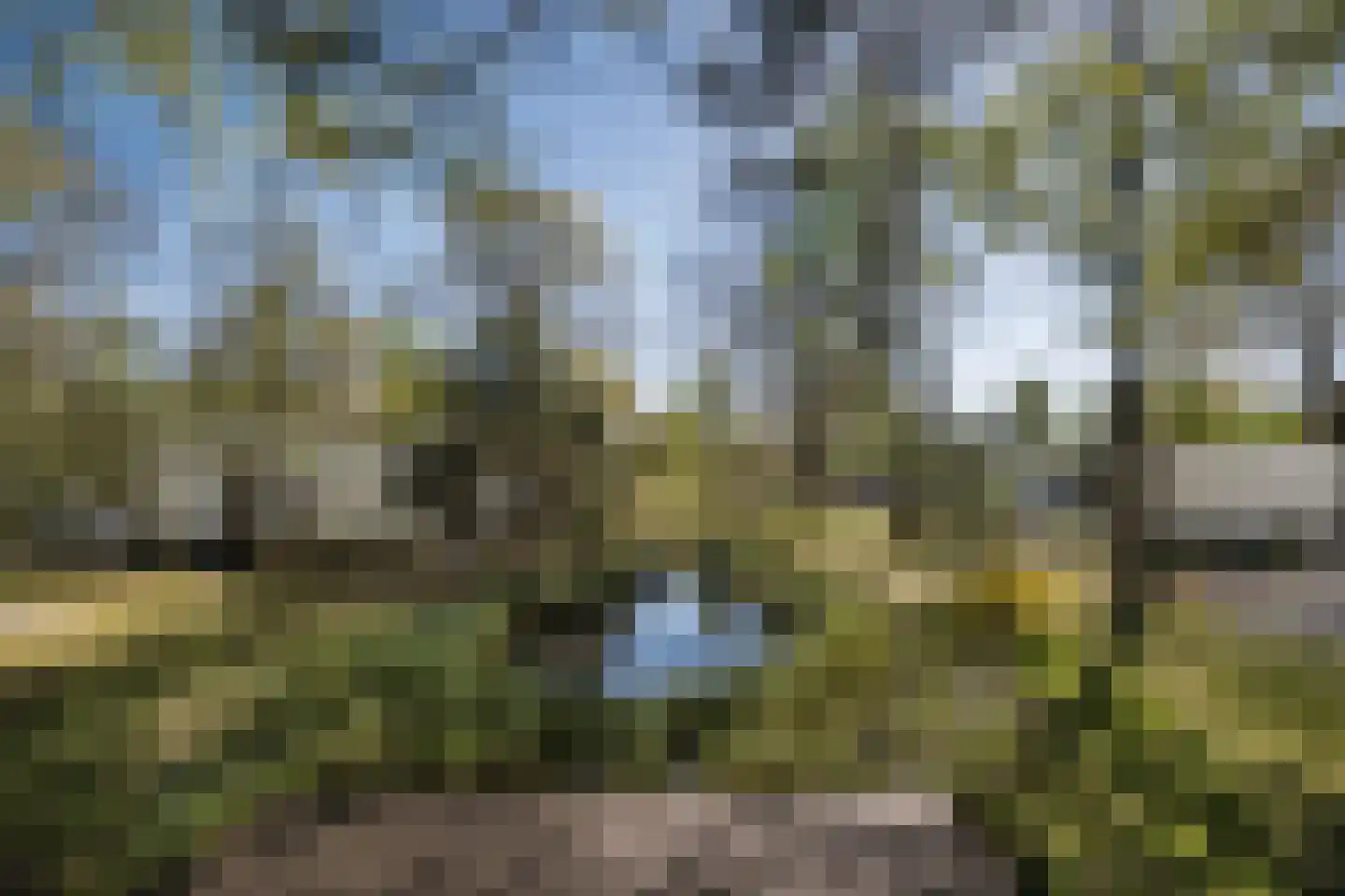 Koningsweg 14 51 Arnhem thumbnail 57