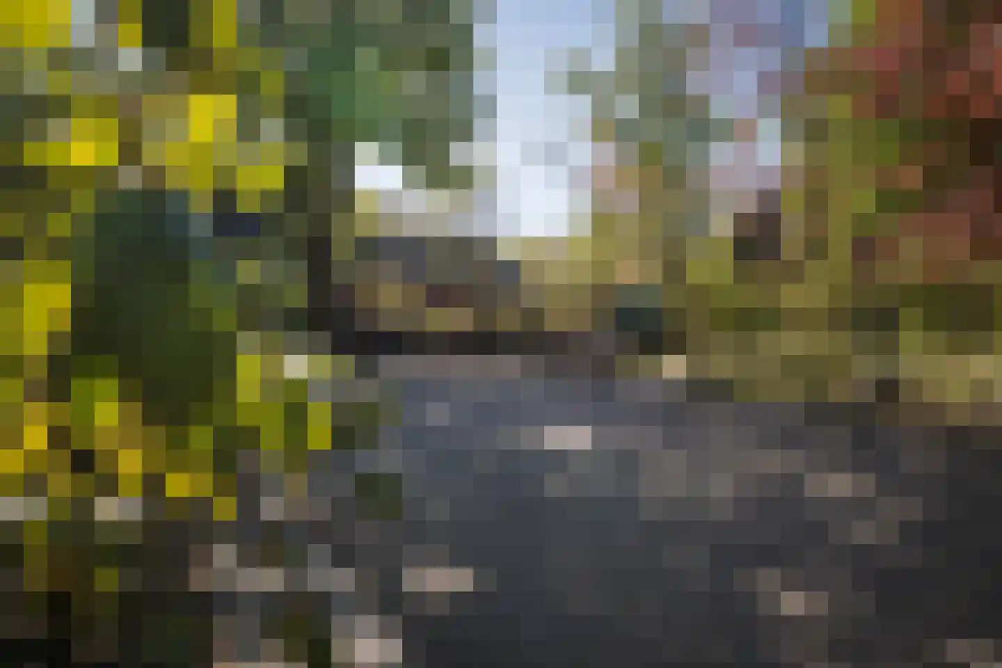 Koningsweg 14 51 Arnhem thumbnail 59
