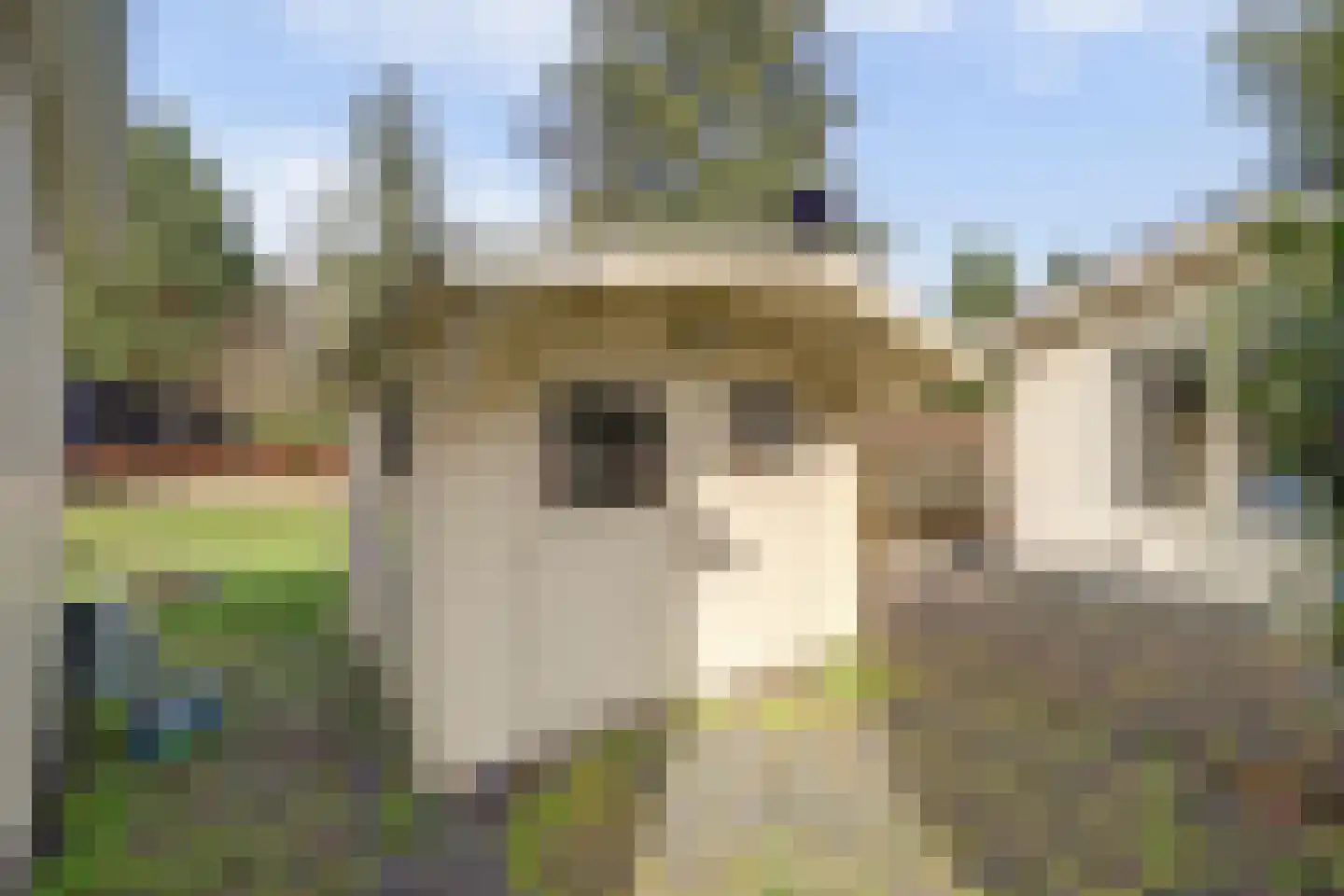 Koningsweg 14 6 Arnhem thumbnail 10