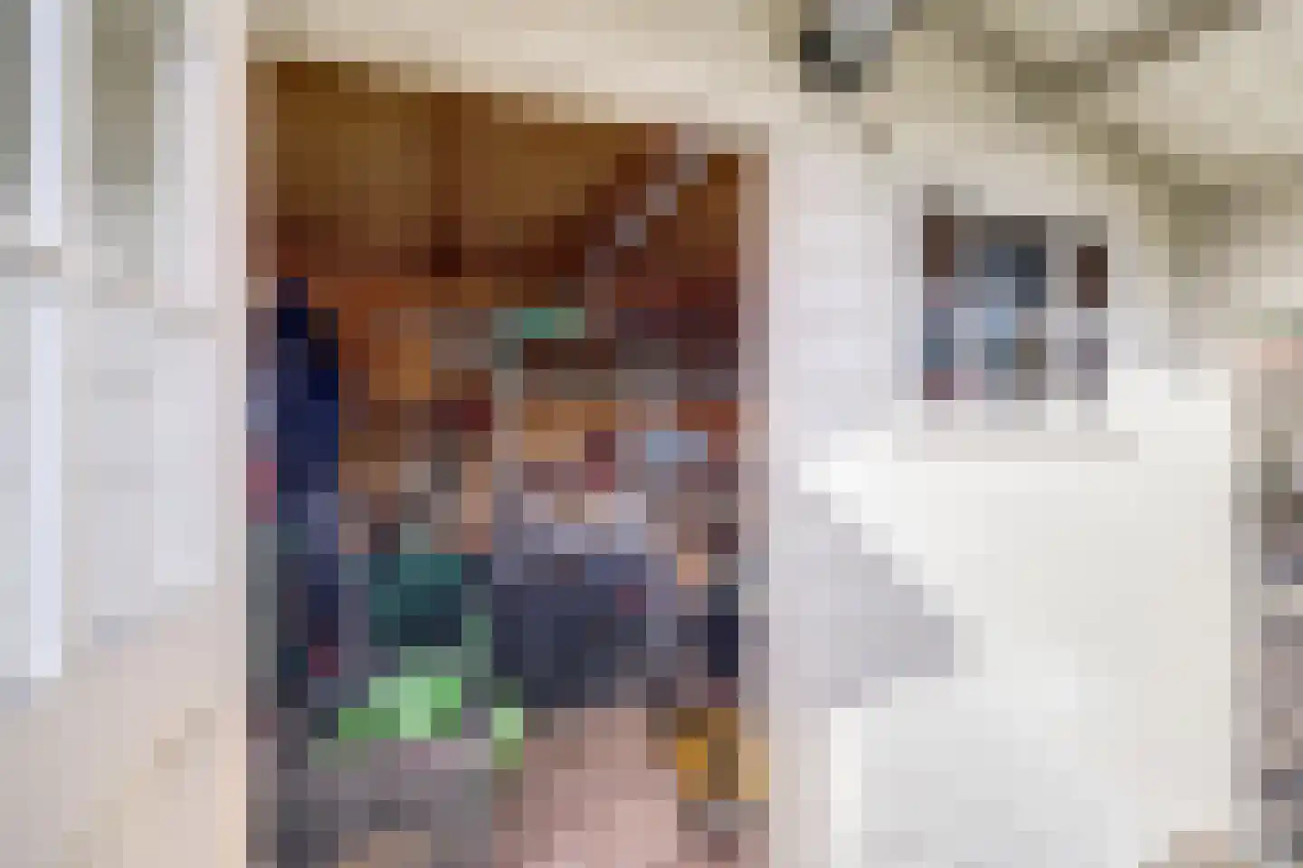 Koningsweg 14 6 Arnhem thumbnail 11
