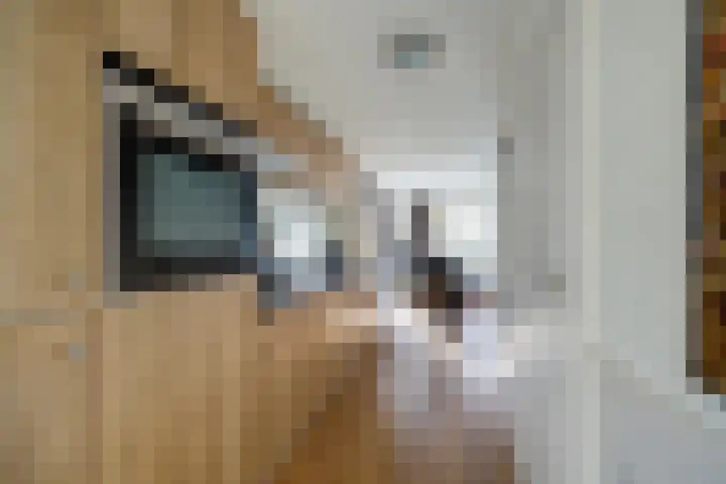 Koningsweg 14 6 Arnhem thumbnail 20