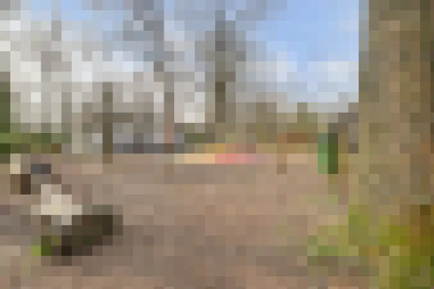 Koningsweg 14 6 Arnhem thumbnail 33