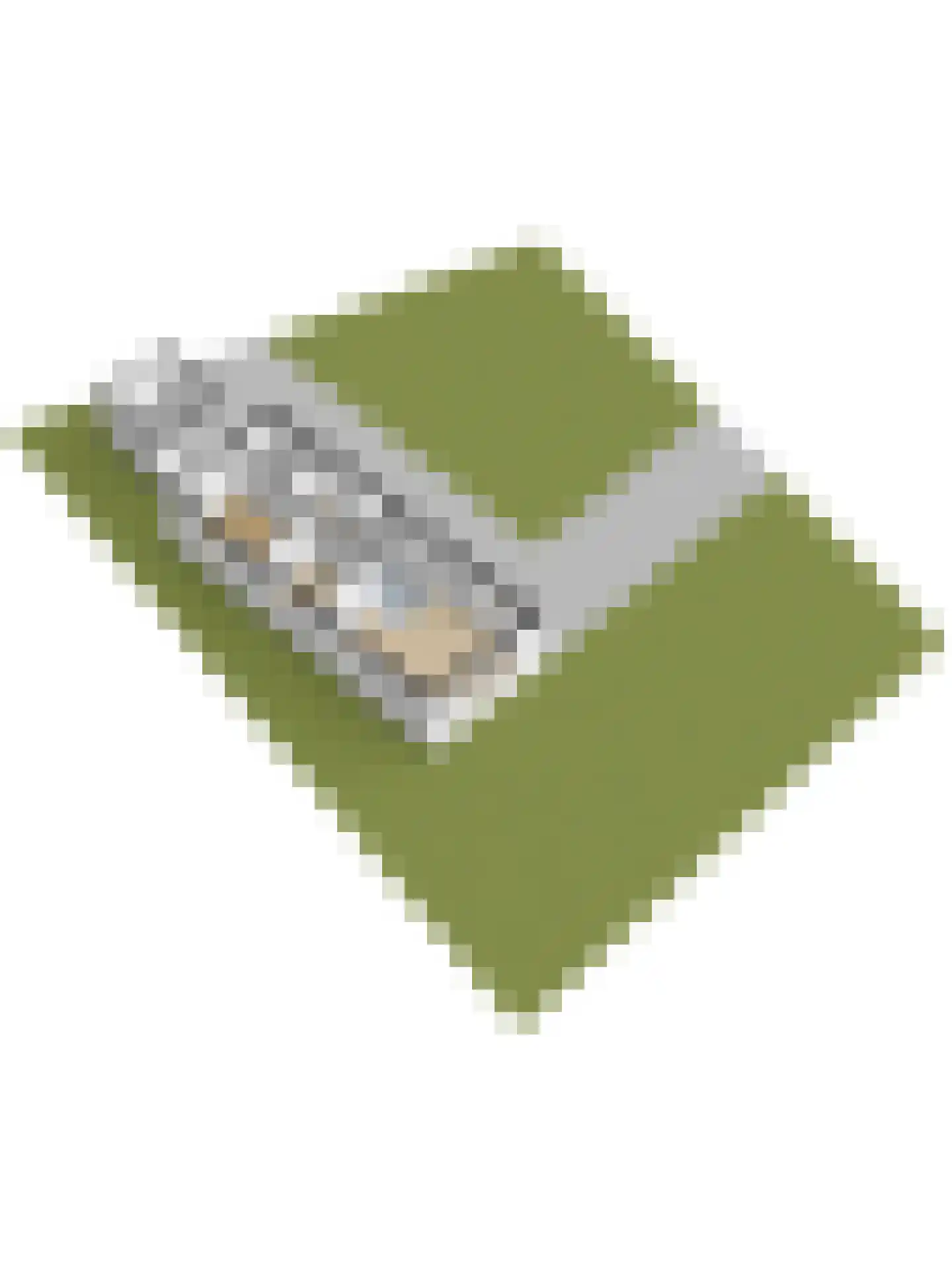 Koningsweg 14 6 Arnhem thumbnail 38