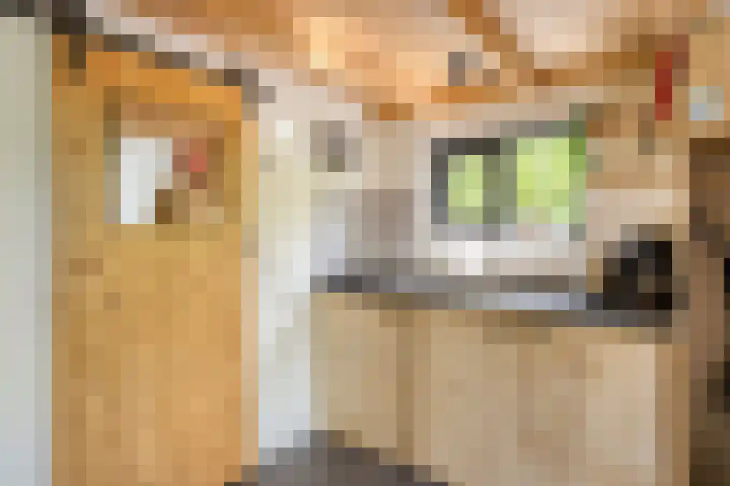 Koningsweg 14 9 Arnhem thumbnail 10