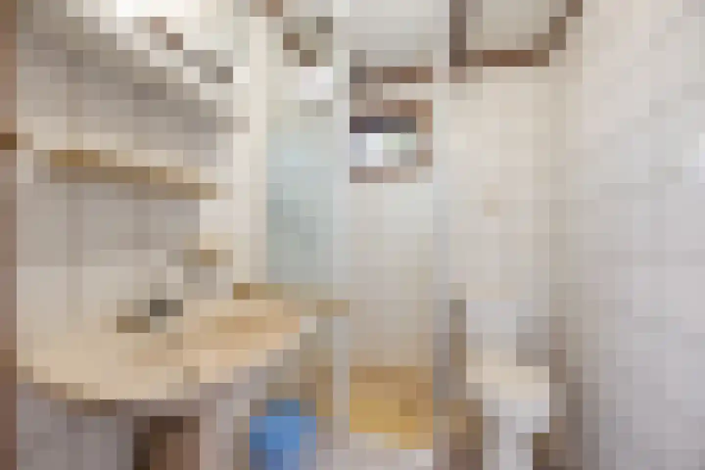 Koningsweg 14 9 Arnhem thumbnail 10