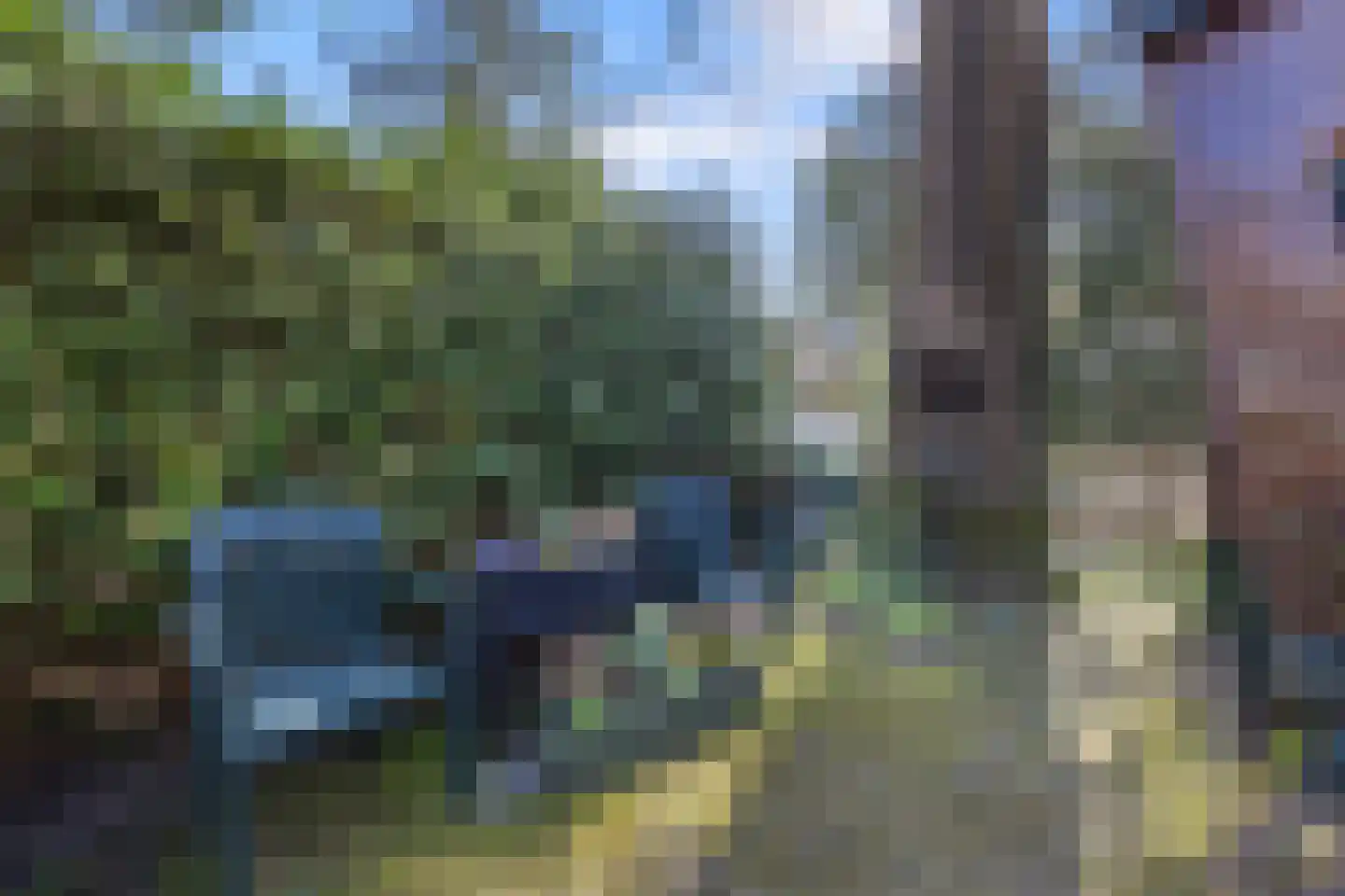 Koningsweg 14 9 Arnhem thumbnail 11