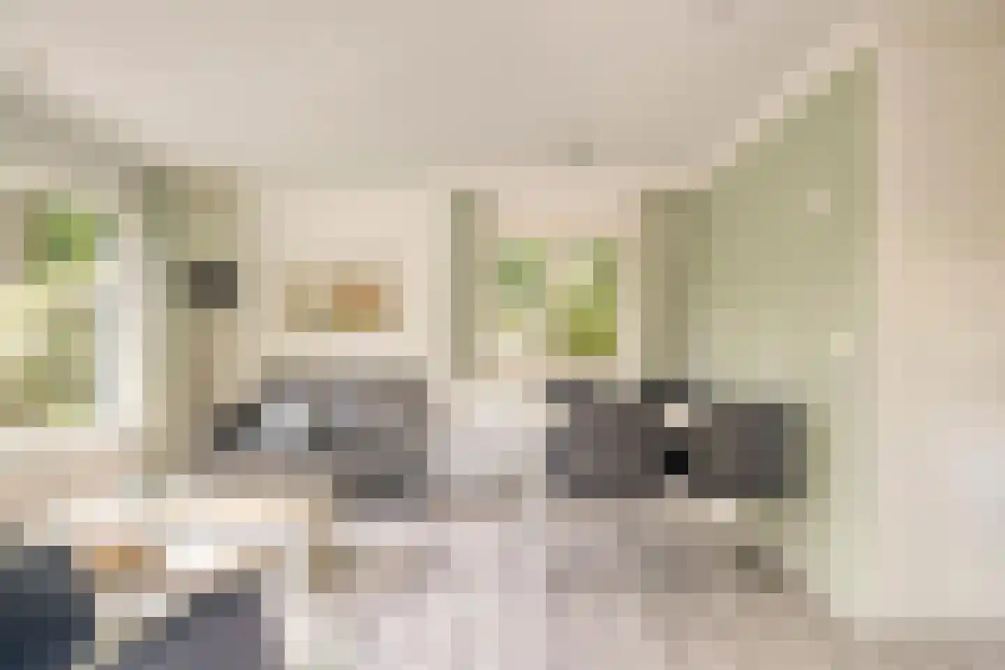 Koningsweg 14 9 Arnhem thumbnail 11