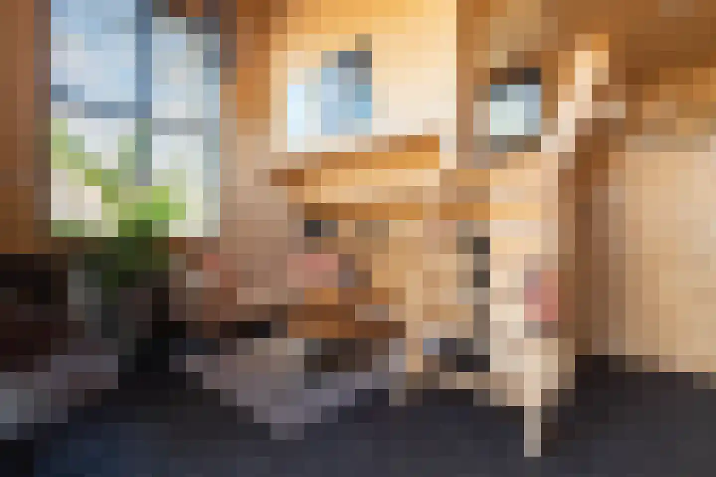 Koningsweg 14 9 Arnhem thumbnail 11