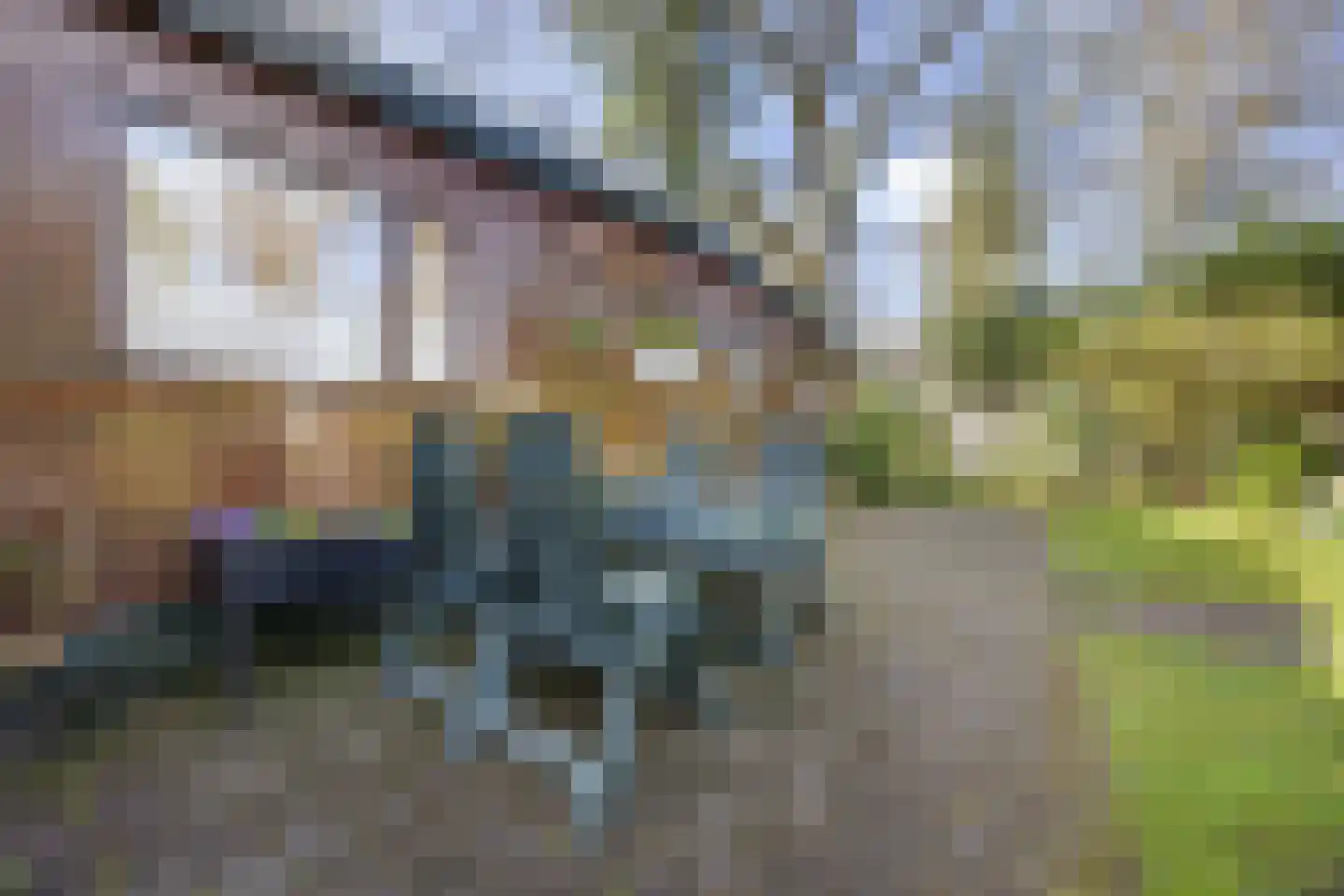Koningsweg 14 9 Arnhem thumbnail 12